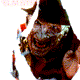 Avatar do Utilizador