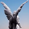 Avatar do Utilizador